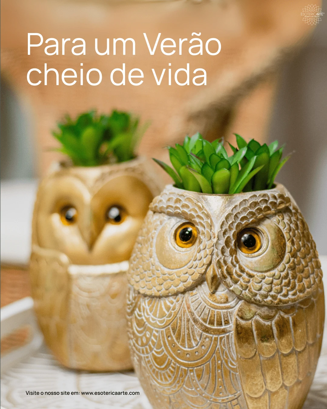 Vasos decorativos em forma de coruja na campanha de verão da Esotérica Arte